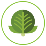 Emblem for Skin Support - Increasing Cruciferous Vegetable Consumption for Skin Health Module